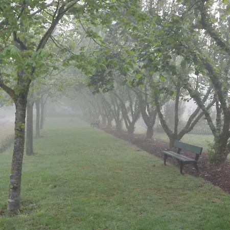 Casa De Fatauncos 4* Vouzela