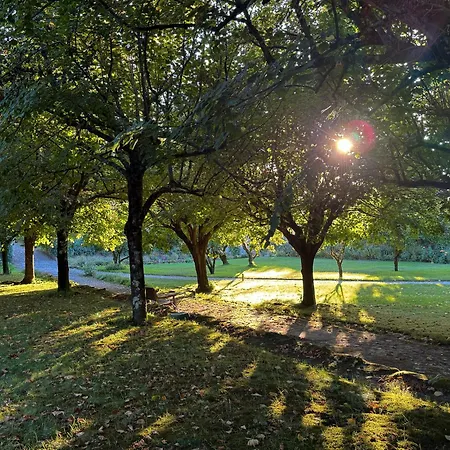 Casa De Fatauncos Vouzela