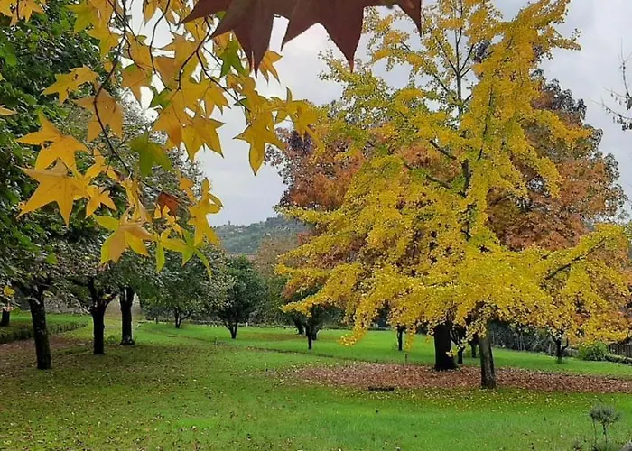 Casa De Fatauncos 4* Vouzela