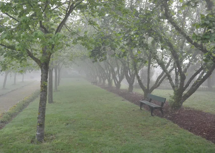 Casa De Fatauncos 4* Vouzela